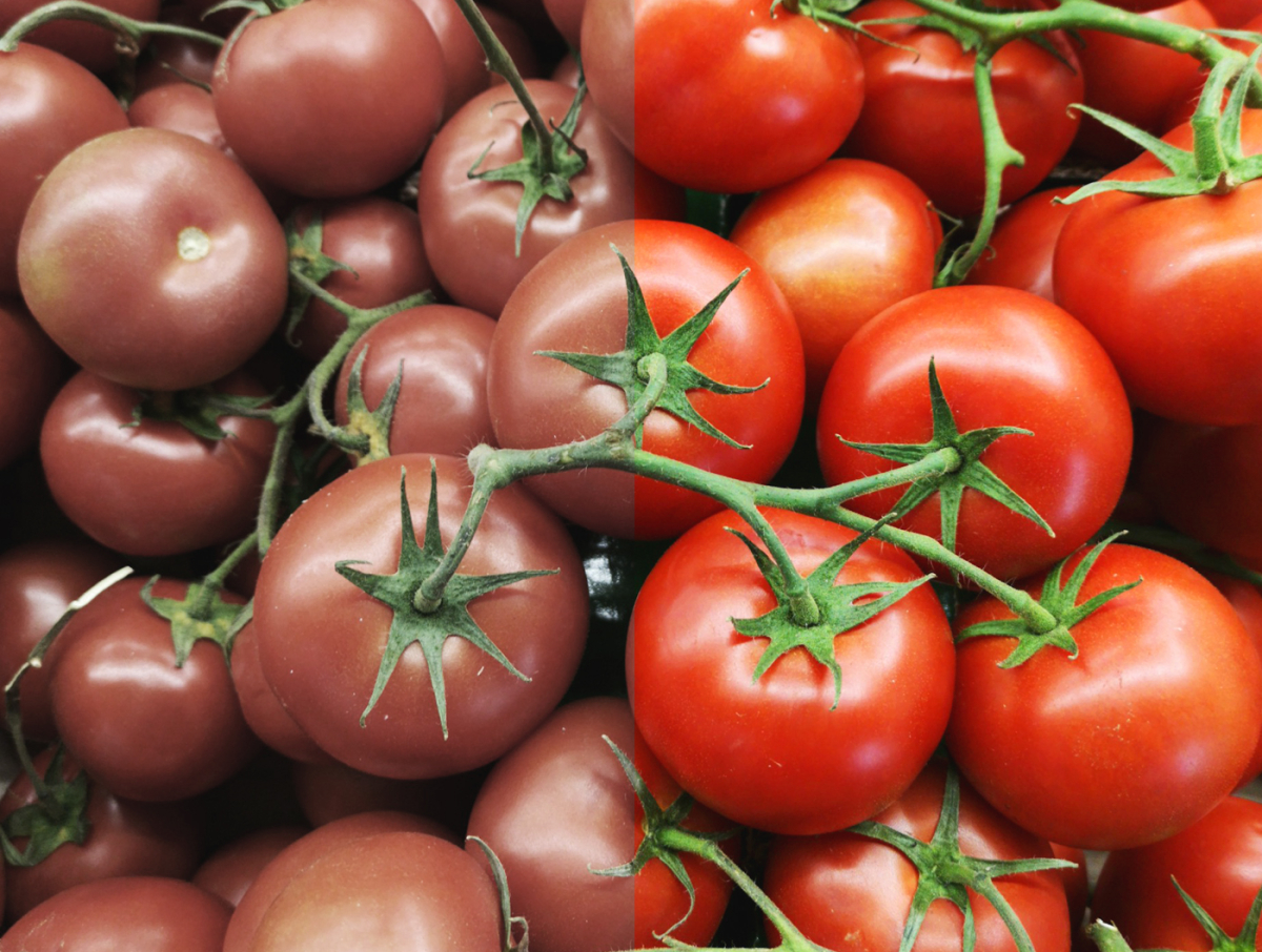 CRI, czyli Wskaźnik Oddawania Barw - czym jest i dlaczego ma znaczenie?